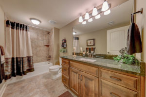 Sweetwater Creek New Homes in Spring Hill, KS Bathroom